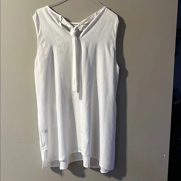 Cream Embroidered Blouse with Sleeveless Design - Picture 3 of 4